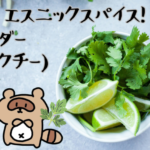 コリアンダー/パクチーサムネ