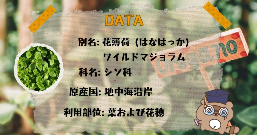 オレガノとは