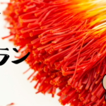 サフラン　サムネ
