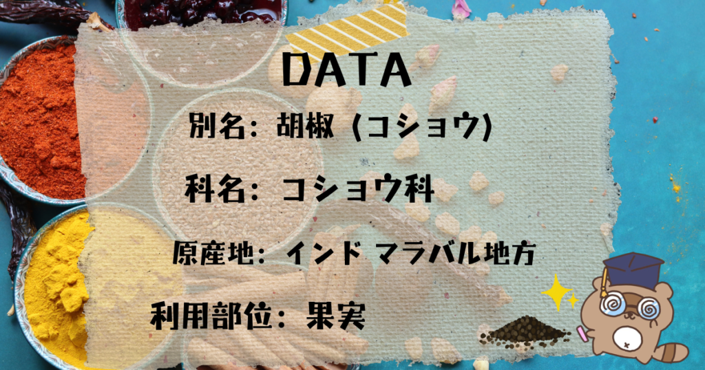 ペッパー DATA