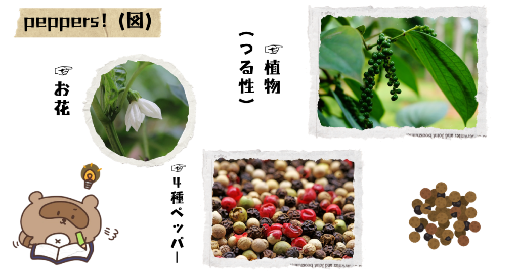 ペッパー 図