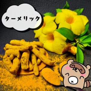 ターメリック