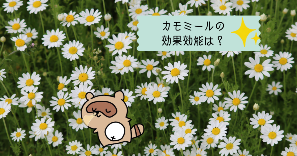 カモミールの効果・効能