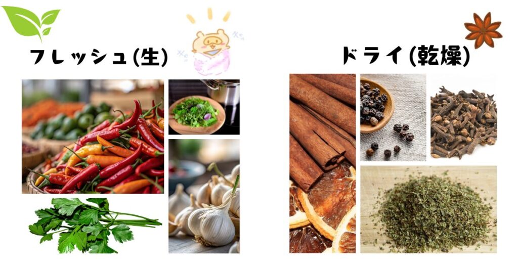 フレシュ＆ドライ