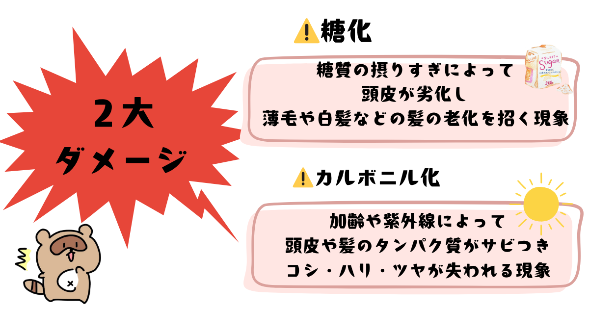 髪が痛む原因
