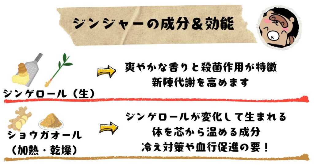 ショウガの成分と効能