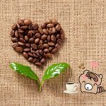 二フコーヒーサムネ