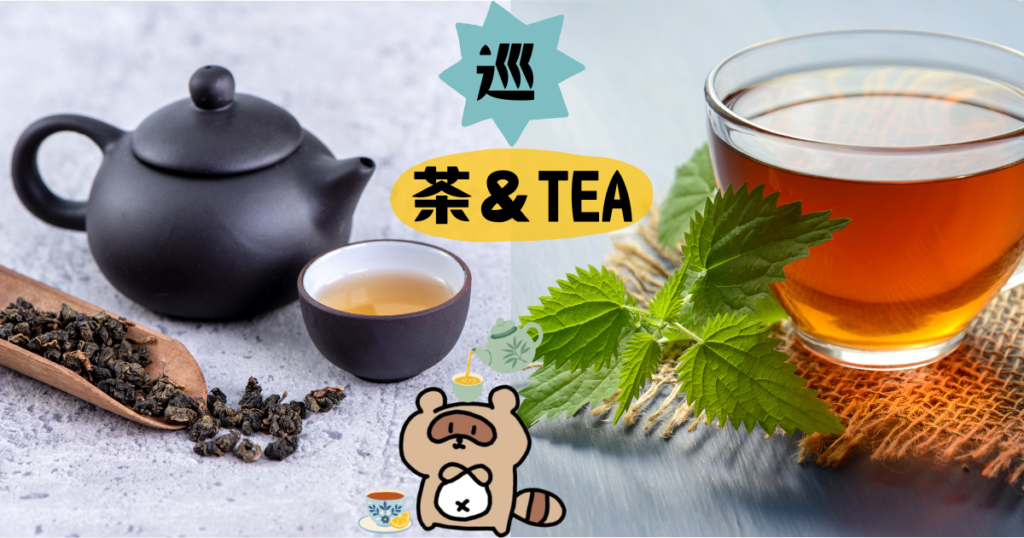 おすすめハーブティー＆漢方茶5選　サムネ